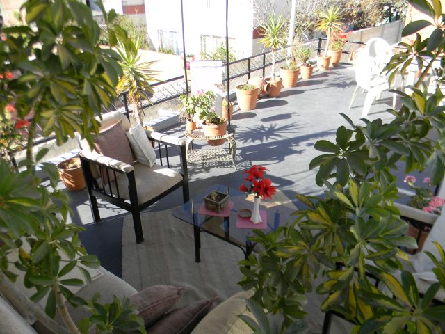 Terraza4