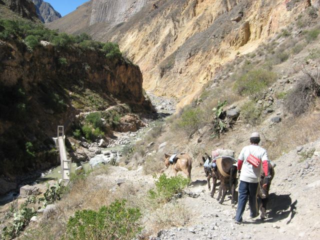 Bridge Colca Canyon