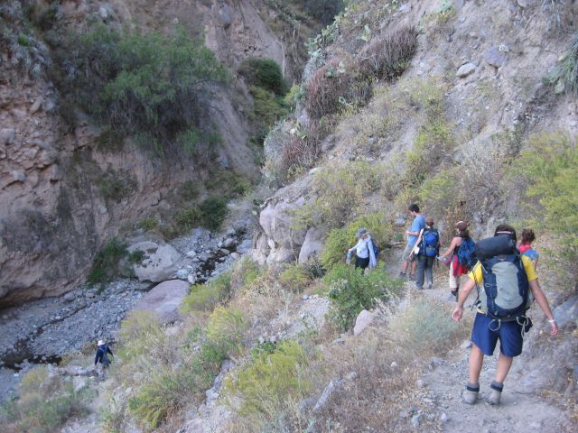 Trek Colca